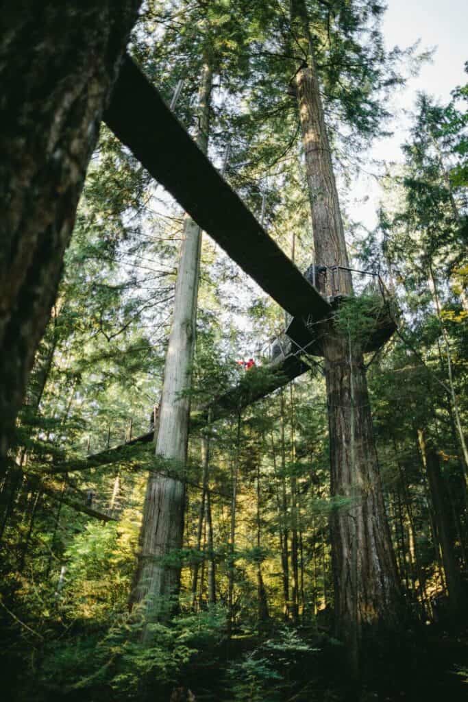 The Capilano Suspension Bridge Park