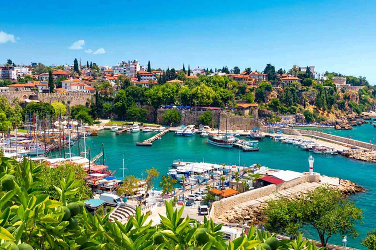 A view of a harbor with boats and trees.