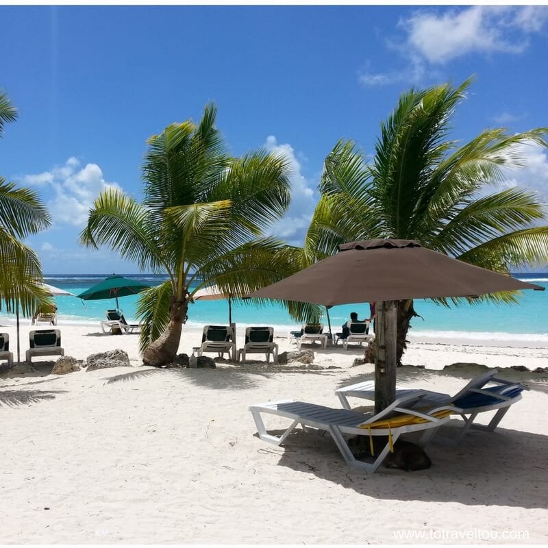 chairs and umbrellas on the beach