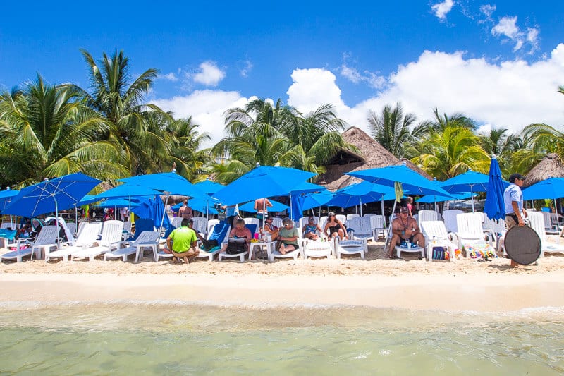 chairs and umbrellas on the beach