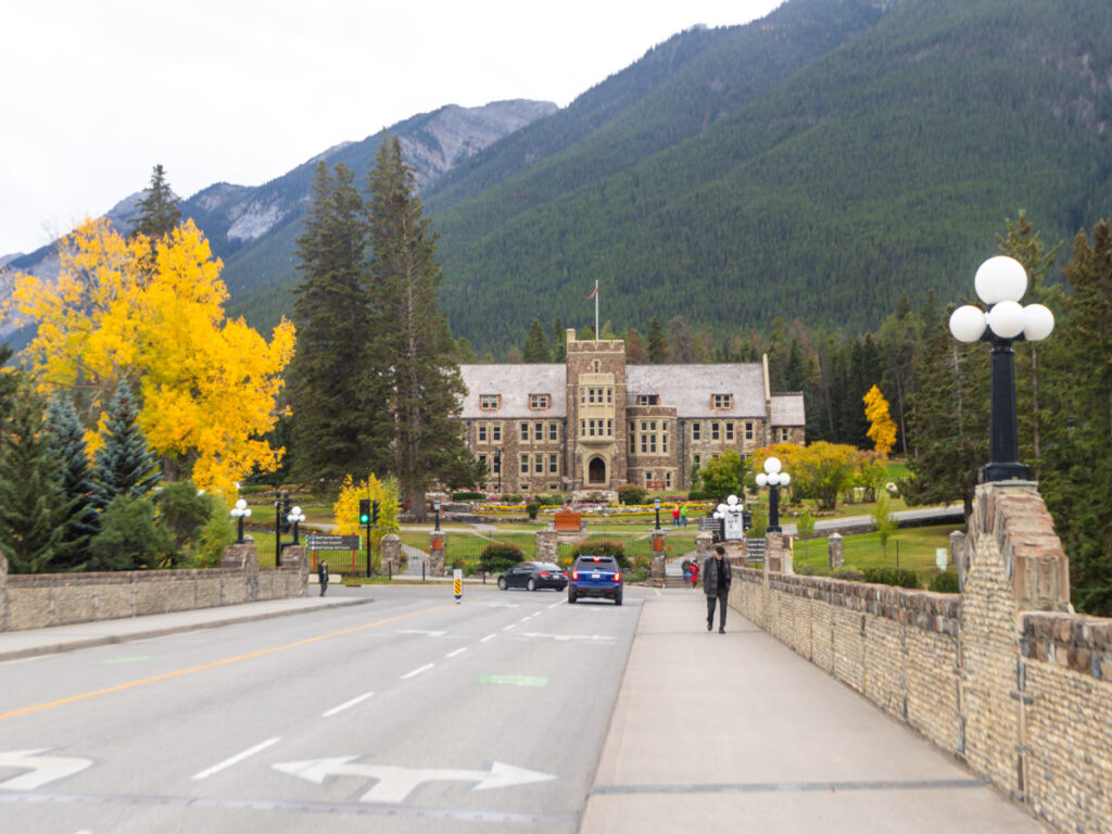 building at end of street surrounded by fall trees