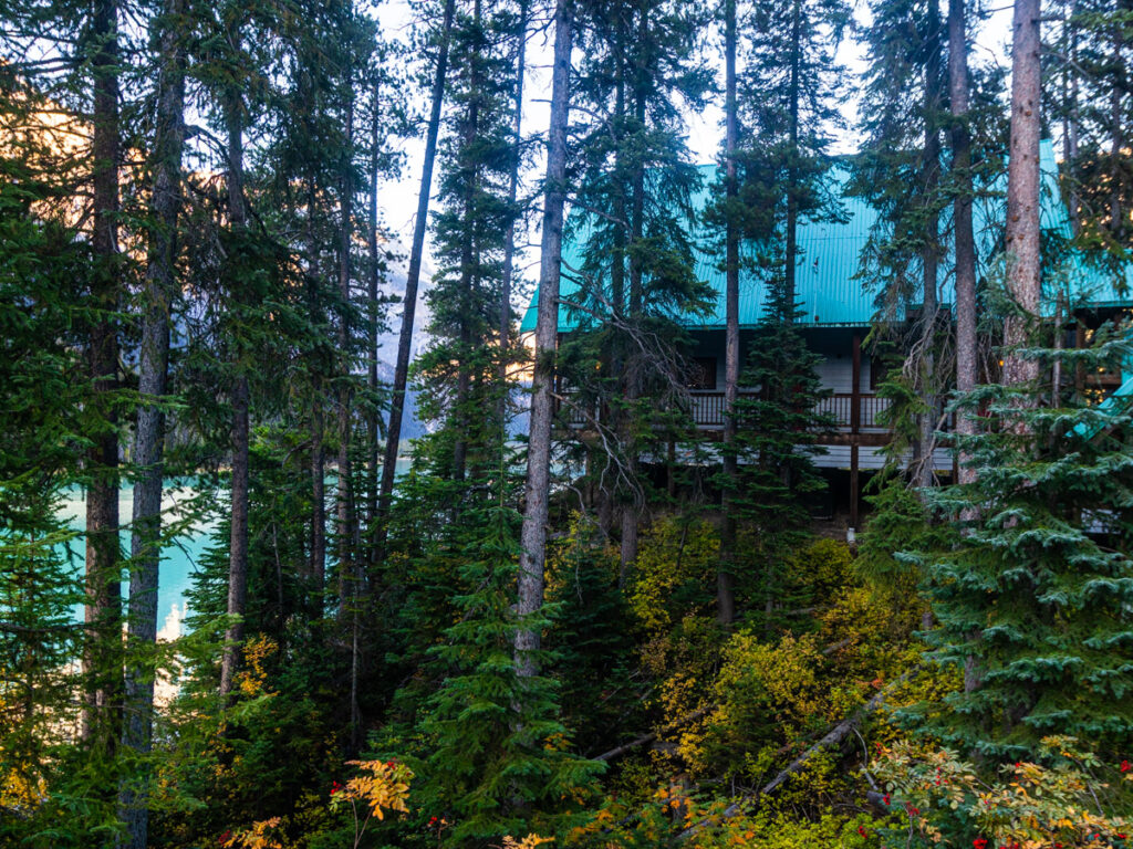 cabin in the woods beside the lake