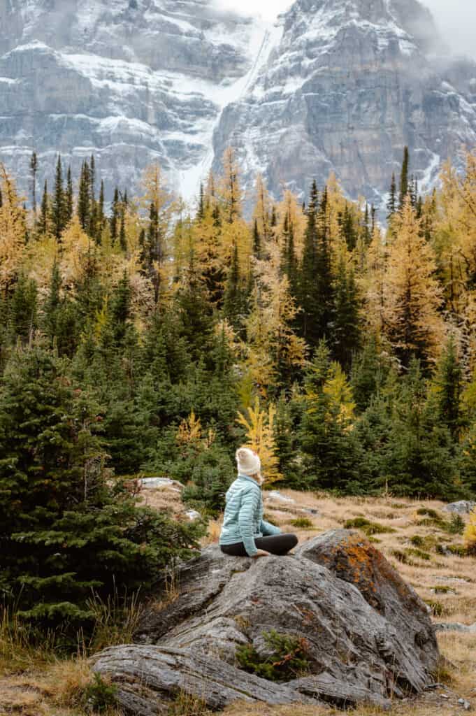 caz sitting on rock looking at fall foliage