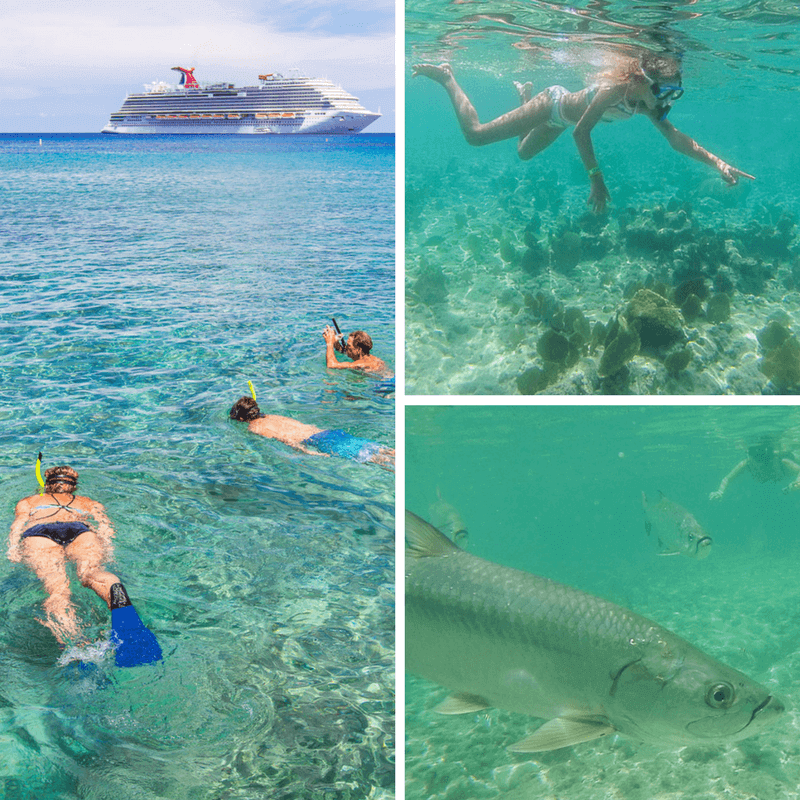 Snorkeling at Marine Park on Grand Caymans