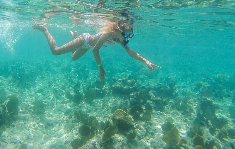 snorkelling Grand Cayman Island 