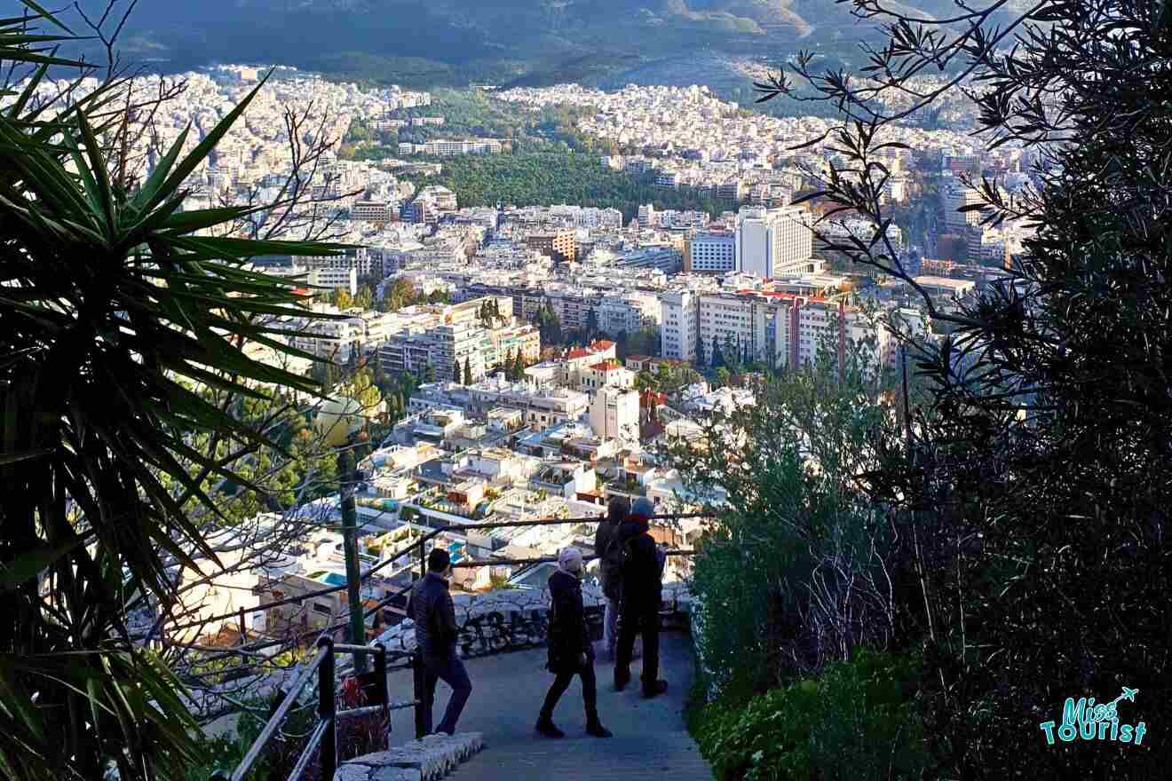 A group of people standing on a hill overlooking a city.