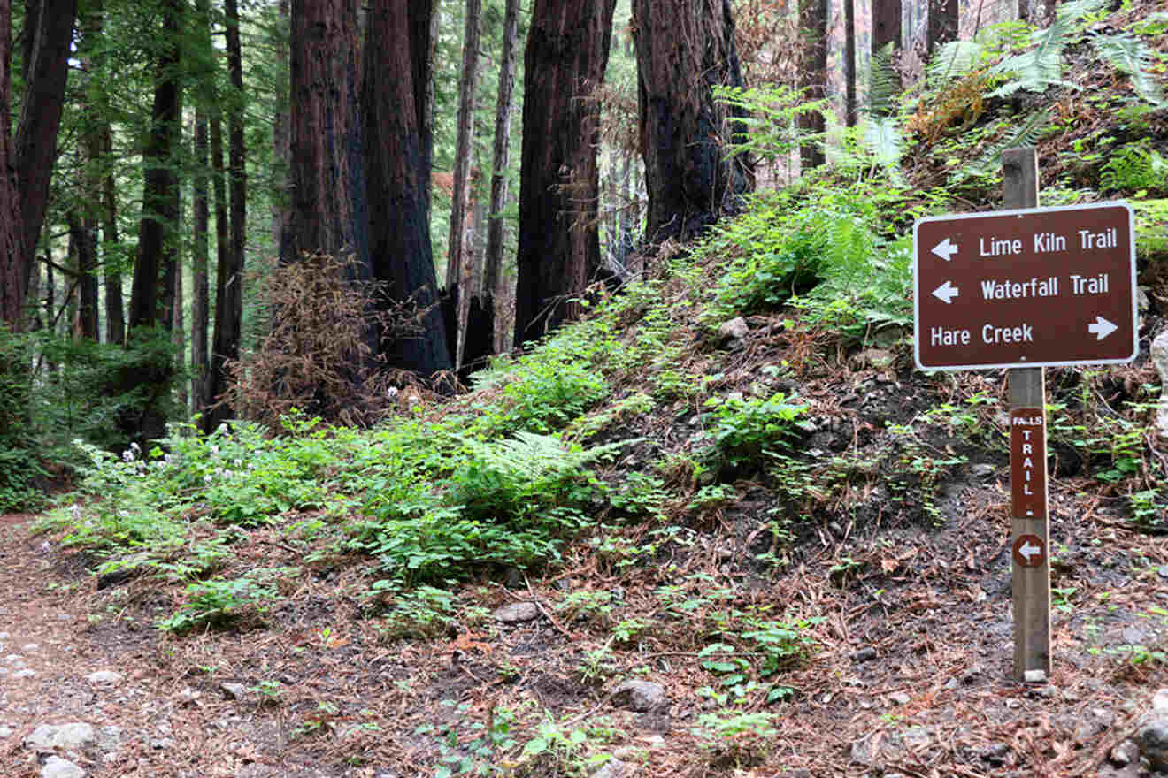 a sign on the side of a dirt road