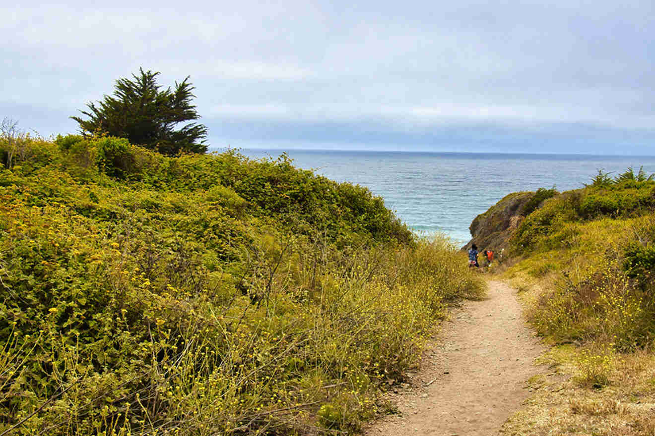 a person riding a bike on a trail near the ocean