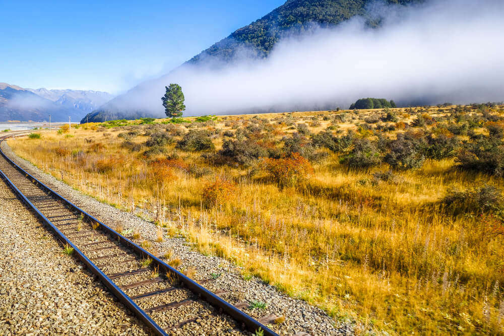 Arthur's Pass Tview from ranzalpine Train 