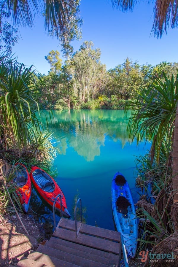 kayaks in a river