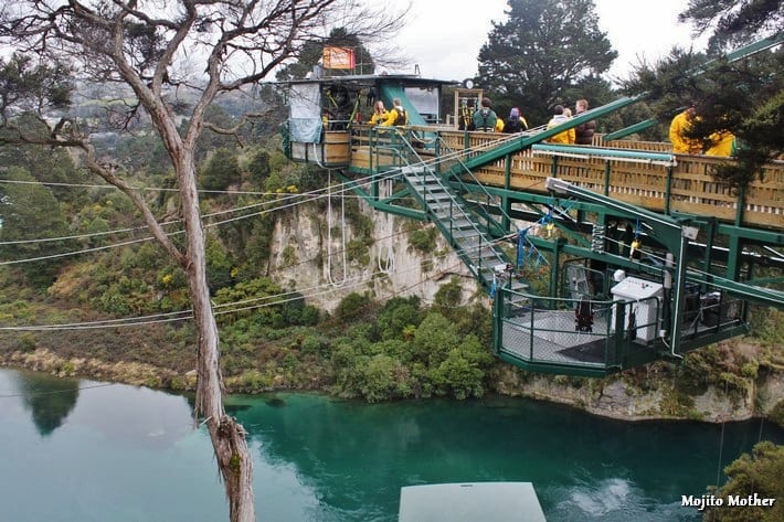 person Bungy jumping in taupo new zealand