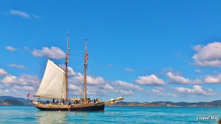 schooner sailing bay of islands 