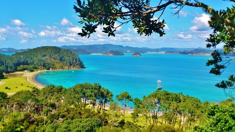 scenic view of Bay of Islands, New Zealand