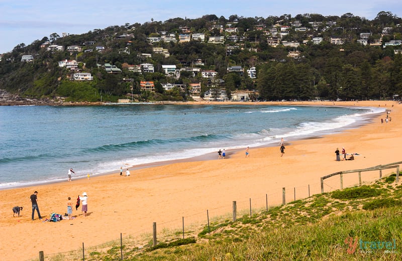 people siting on golden sand of Palm Beach