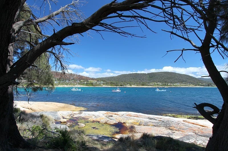 boats on water in bicheno bay