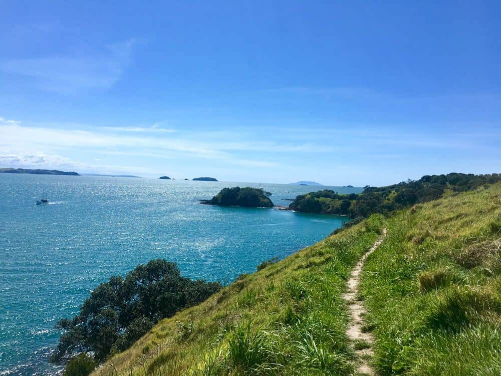 coastal path on Waiheke island