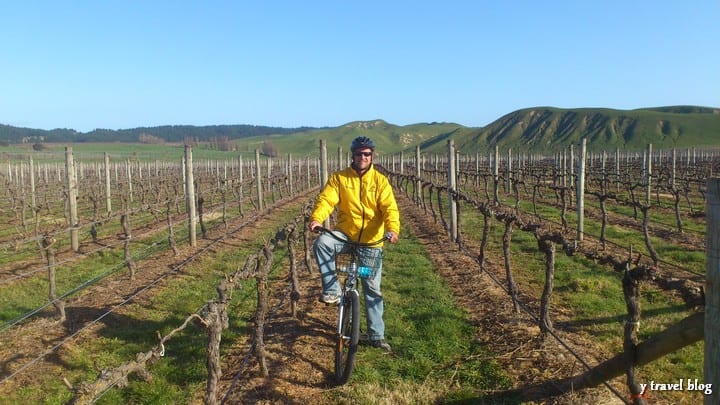 winery tour around hawke's bay