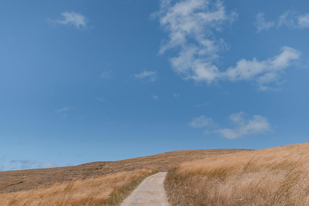 hiking path up Godley Head 