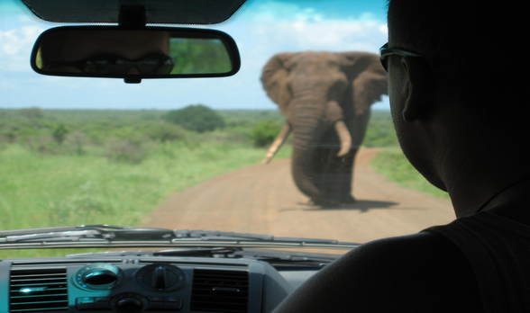 car hire In Africa