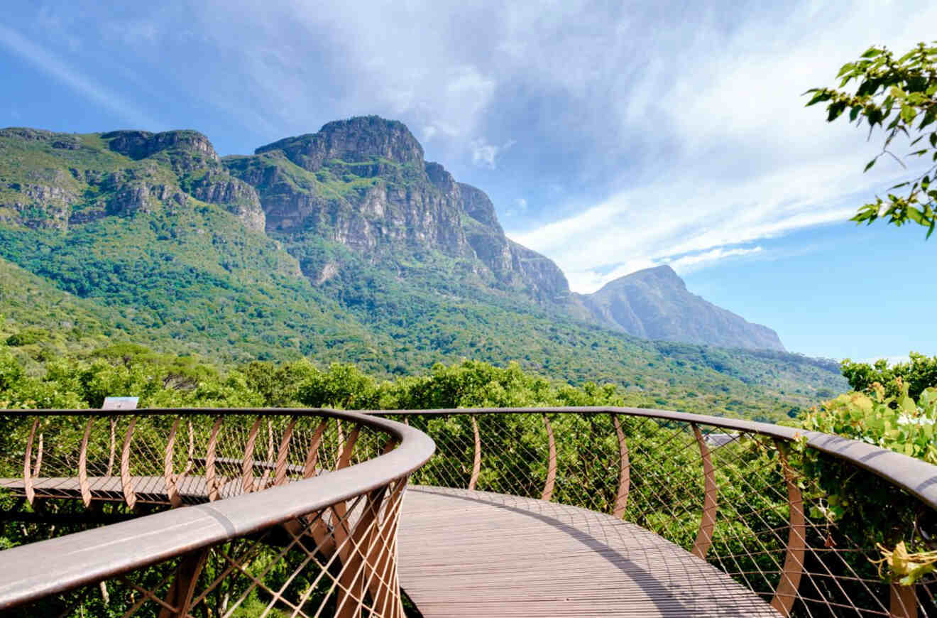 A wooden walkway leading to a mountain in a forest.