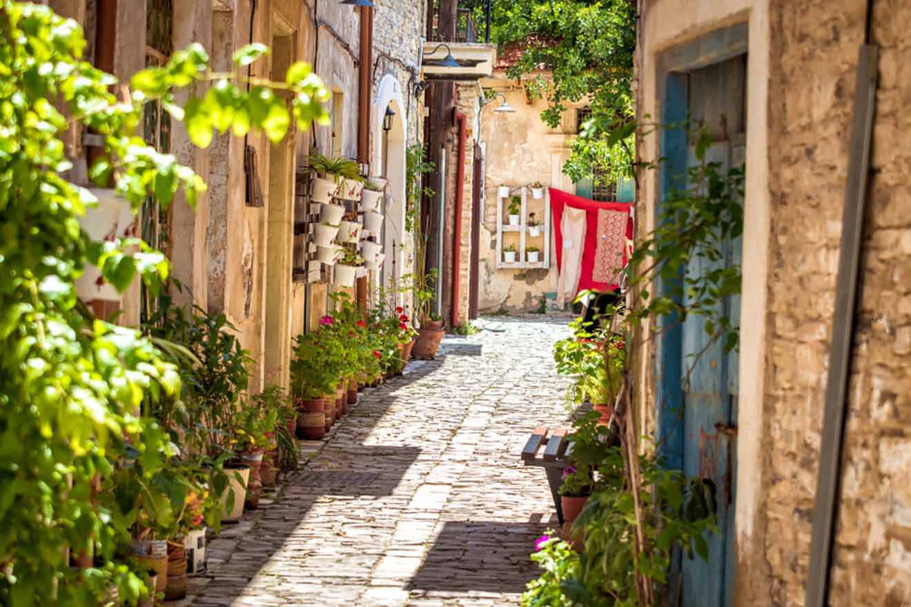 A cobblestone street lined with potted plants and flowers.