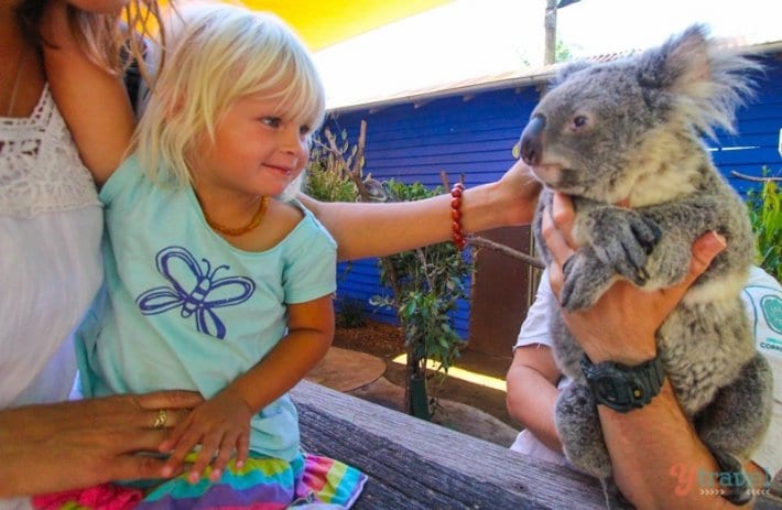 young girl looking at koala and mum patting it