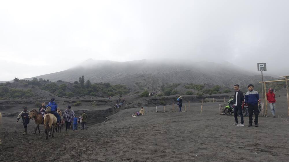 Horses on the hike to Mount Bromo