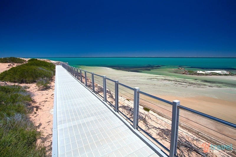 boardwalk beside Eagle Bluff, Western Australia