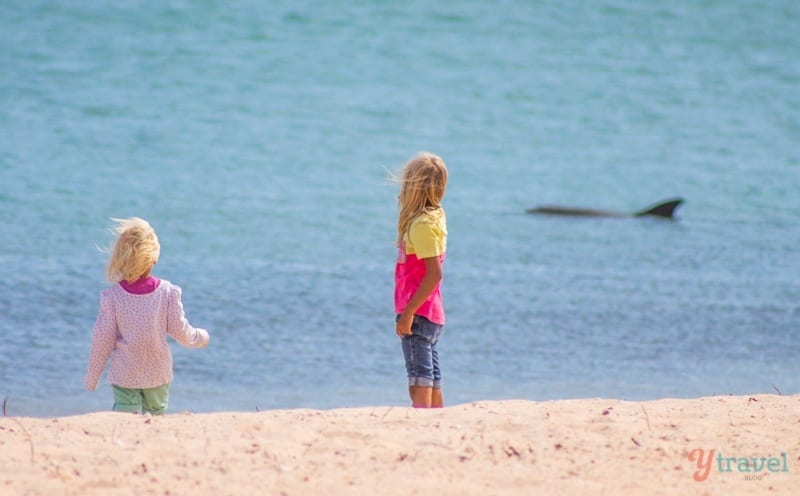 girl standing on the beach with dolphin in background