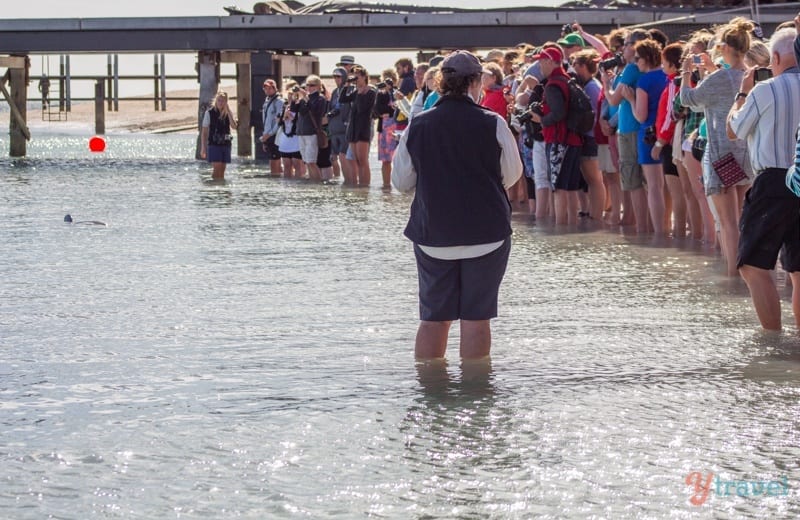 people standing in shallow water