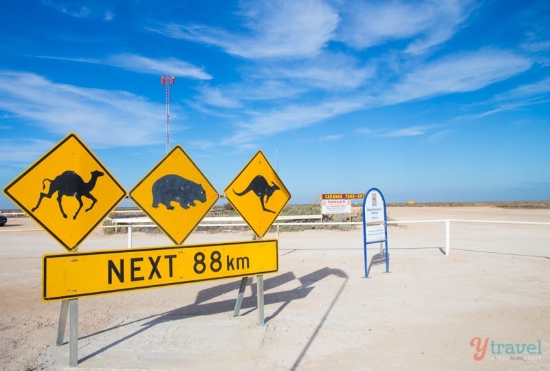 wildlife sign on the side of a road