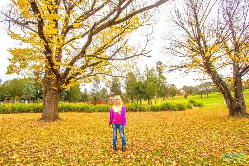 girl standing on floor of yellow leaves