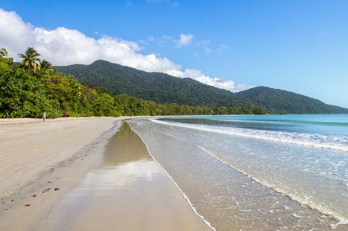 Cape Tribulation Beach in the Daintree Rainforest of Australia