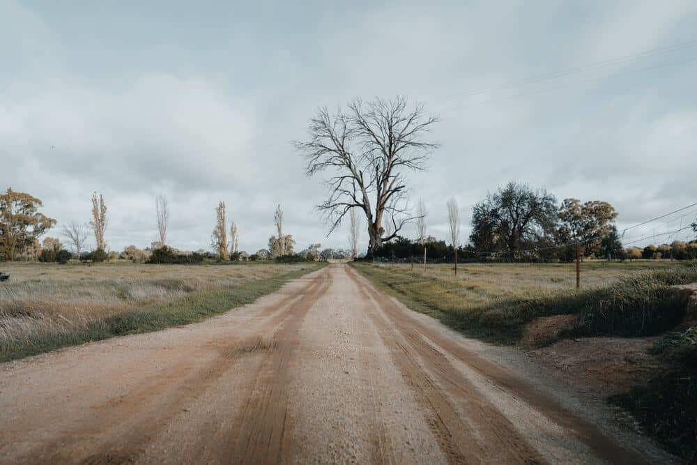 dirt road going through open field