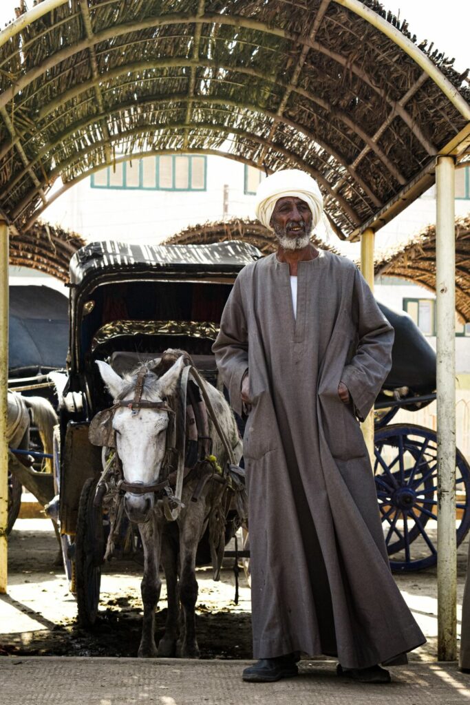 man with horse and cart in egypt