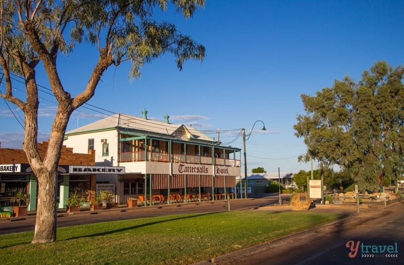 gum tree and grass in front of Tattersalls Hotel 