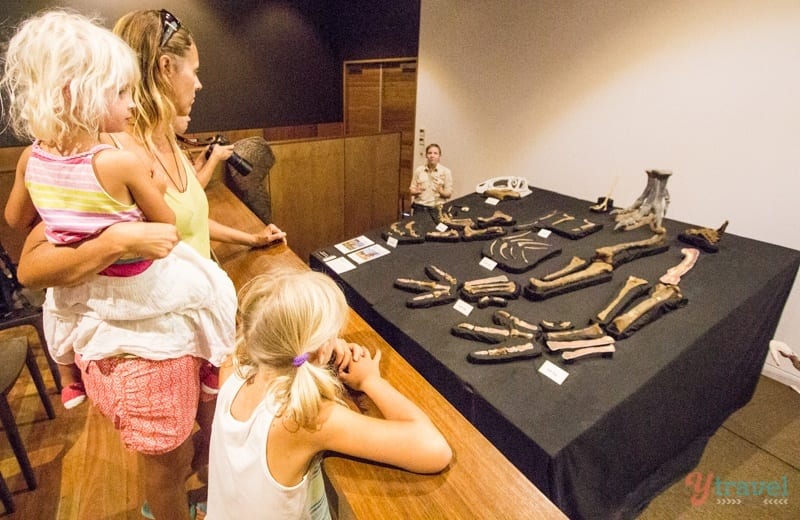 women and children looking at dinosaur exhibit