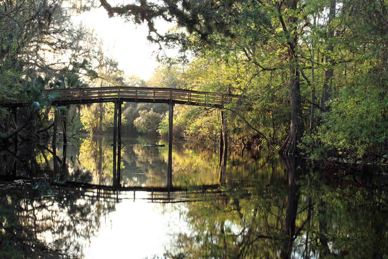 Wooden bridge over a tranquil forest swamp reflecting the trees and sky in the still water