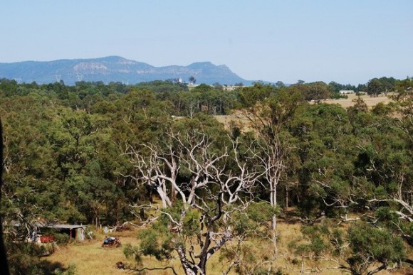 bush land with mountains behind