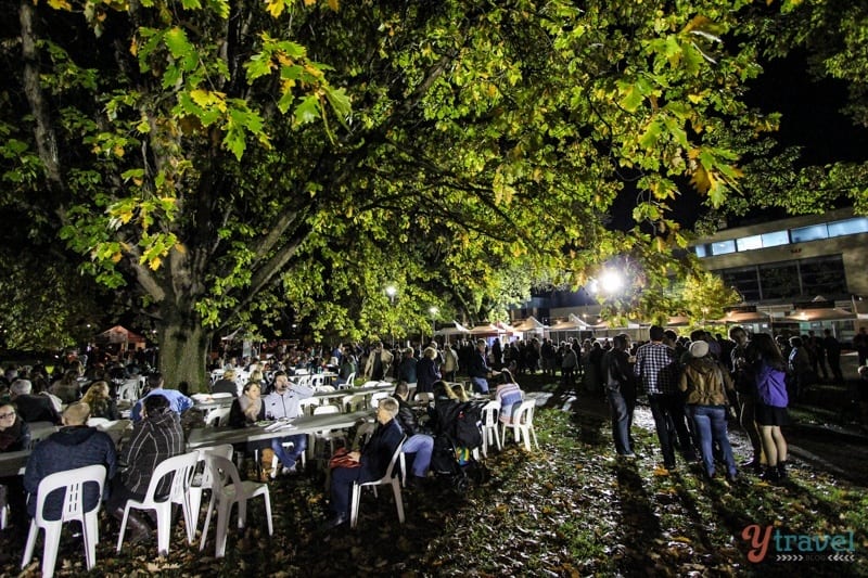 Night Markets - Orange, NSW, Australia