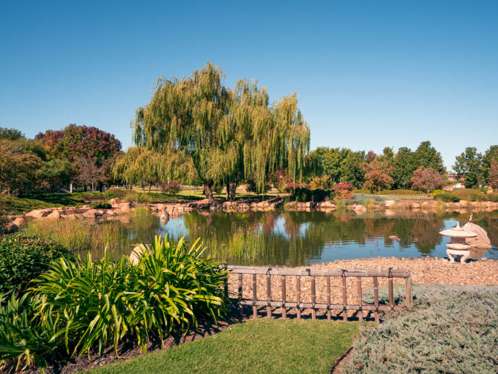 pond surrounded by japanese plants