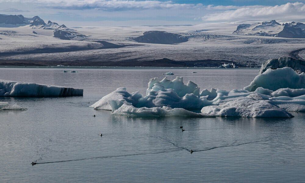 ice bergs in Fjallsarlon Iceberg Lagoon