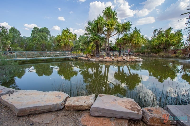 pond in Outback Park, Mount Isa, Queensland