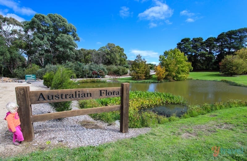 little girl beside australian flora sign in front of pond and botanic gardens 