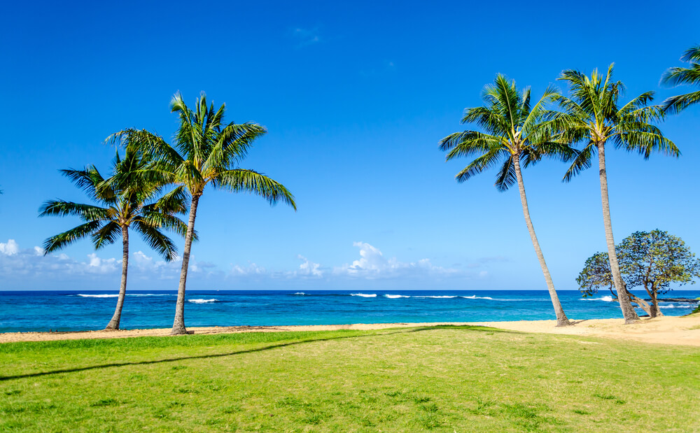 Poipu Beach