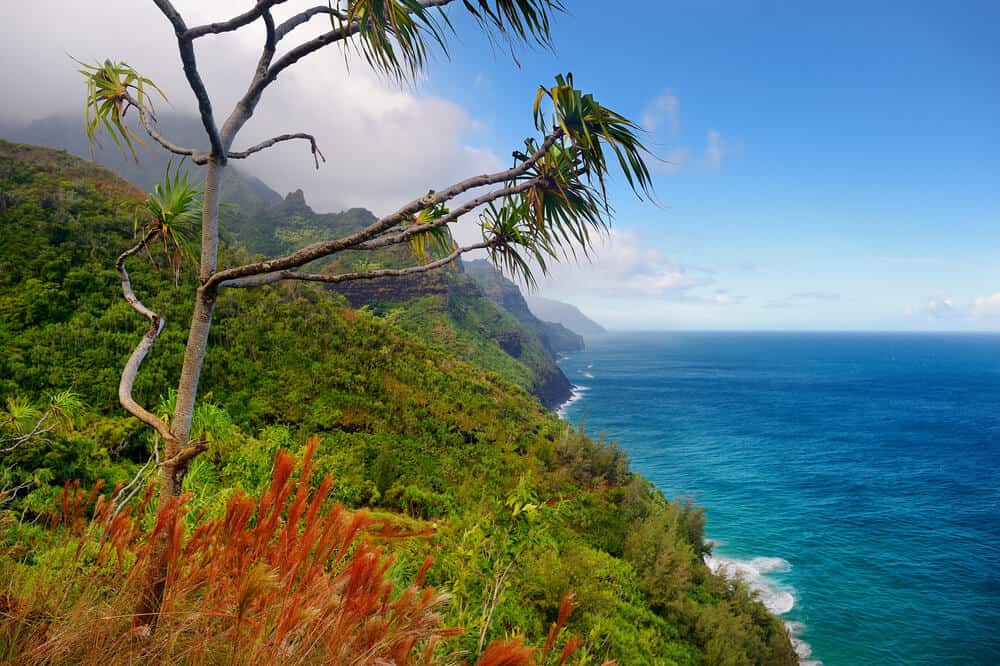 The Kalalau Trail along cliff face