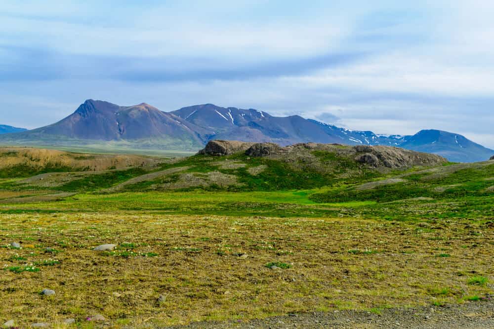 green rocky landscanpe of Vatnsnes Peninsula