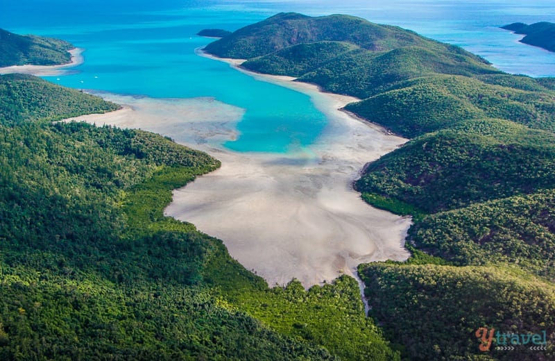 a forested  island