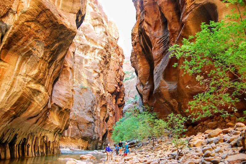 group standing on side of river