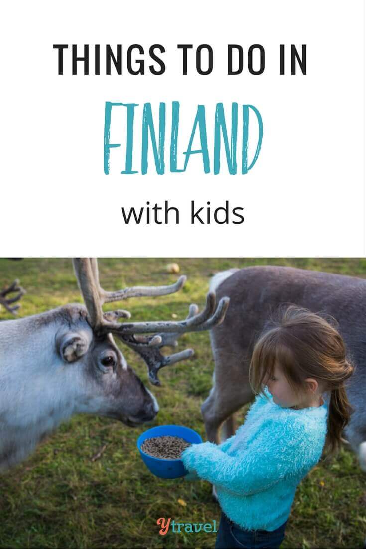 little girl feeding animals